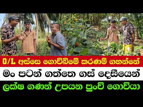 From 200 Grow Bags to a Millionaire Schoolboy!