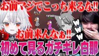 【Goose Goose Duck】普段の言動からは想像できないパッション系白那しずくに爆笑するk4sen【2026/2/16】