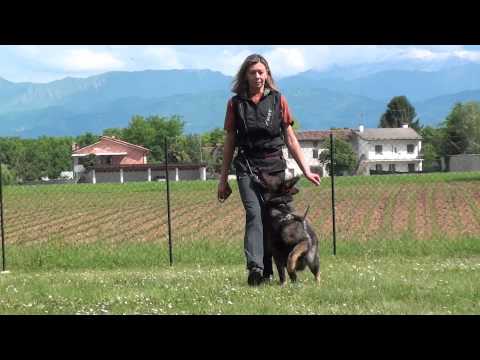 Heel control - product training