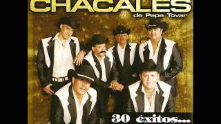 Los Chacles de Pepe Tovar:  A Medias de La Noche