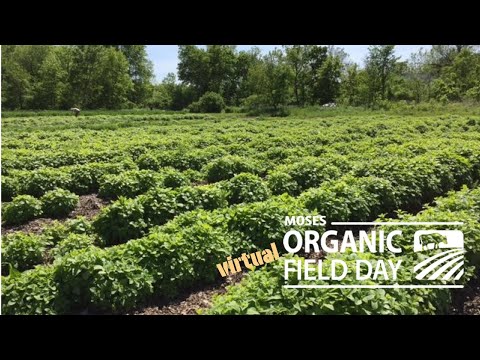 , title : 'Medicinal Herb Production at Four Elements Organic Farm'