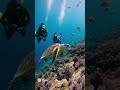 The Physics Of Beauty A Serene Dive With Incredible Underwater Hair AI Video