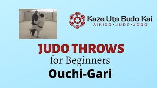 Basics of Ouchi-Gari