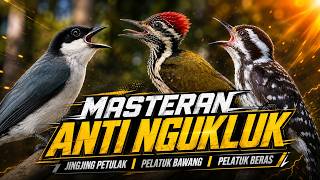 Download lagu MATERI SUSUN MESIN JAHIT PANJANG JINGJING PETULAK PELATUK BAWANG SAMBUNG PELATUK BERAS mp3