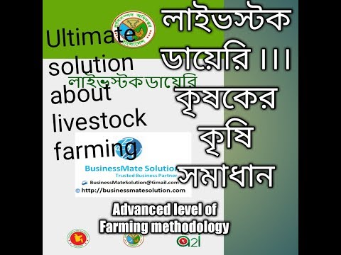 লাইভস্টক ডায়েরি