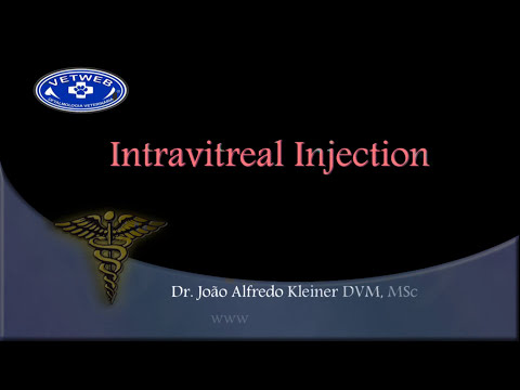 Intravitreal Injections in Dogs