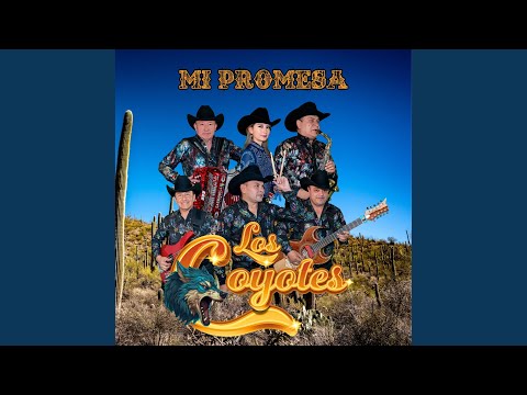 Entre Hierba Polvo y Plomo