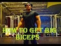 How to get Big and well shaped Biceps, Vlog | Carlos Salcedo Fitness
