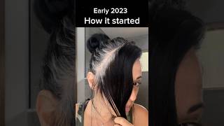 Black to Gray Hair Transition 🖤🩶 #hairtransformation