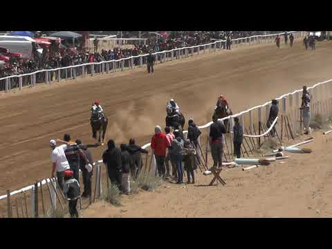 ANDARIEGO  - Club Hípico Viento Sur Cutral Co. 12-12-21