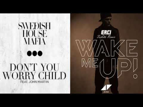 Swedish House Mafia  vs. Avicii - Don't You Worry Child vs. Wake Me Up (Tom Prinzi Mashup)