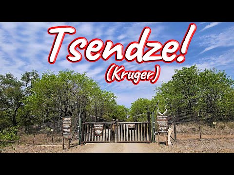 Tsendze Rustic Camp! Ep 429