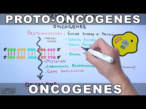Proto-Oncogenes and Oncogenes