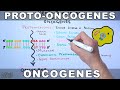 Proto Oncogenes And Oncogenes