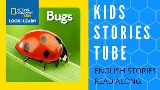 Bugs