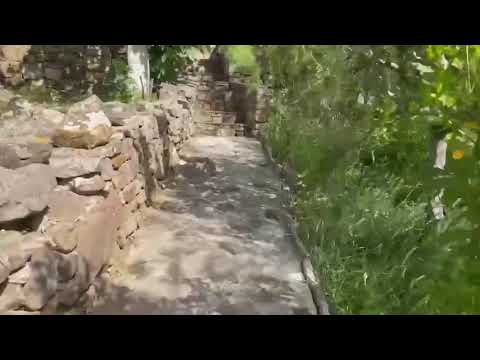 Video 2