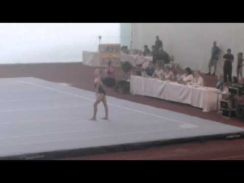 Riina Kaleva 2014 FINGYM FX