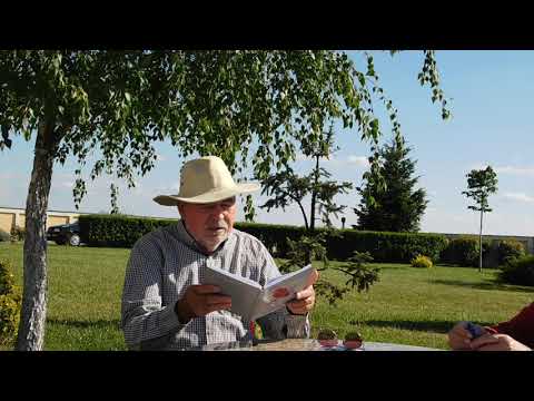 Tabăra de Literatură a Scriitorilor din Lugoj - recital POETIC - 21 mai 2021 - video1 Adriana Weimer