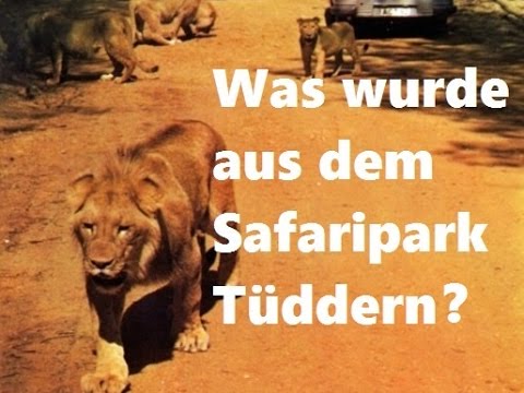 Was wurde aus dem 1. Safaripark in Deutschland? | Eine Spurensuche | Selfkant