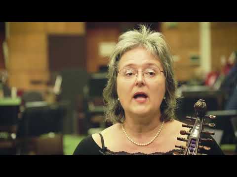 A VIOLA D'AMORE A BÁNK BÁNBAN