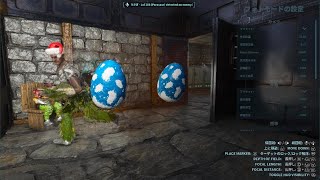 ARK カメラはみた