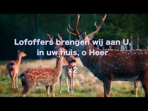 Opwekking 273 Lofoffers brengen wij aan U