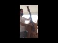 Country Willie Bass Cover