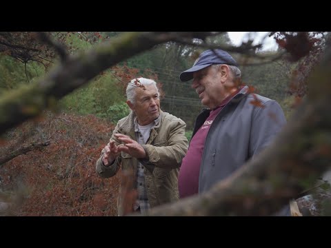 The Magical Bonsai World of 80 Year Old Dan Robinson in Washington State