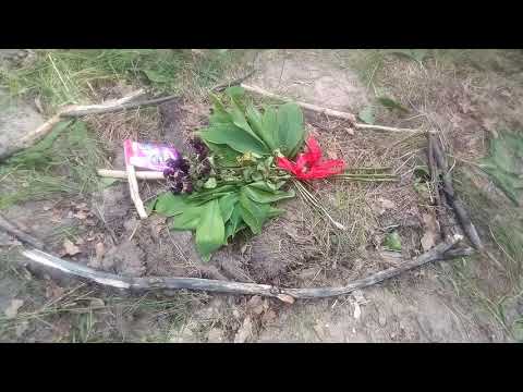 У меня умерла кошка