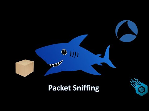 What is Packet Sniffing?