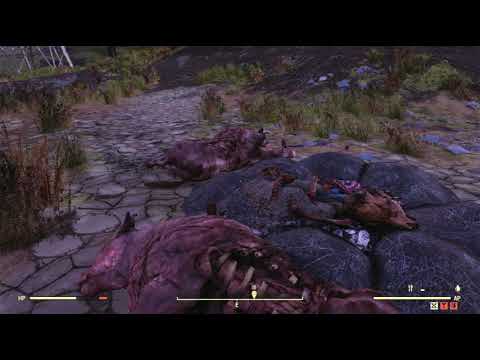 The Forest Region Object Random Encounter Hotspot #11 - Fallout 76