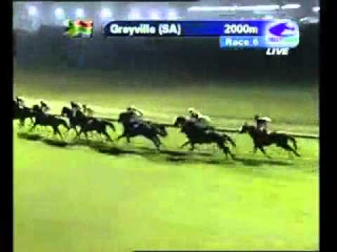 2012-02-21 Greyville - race 6