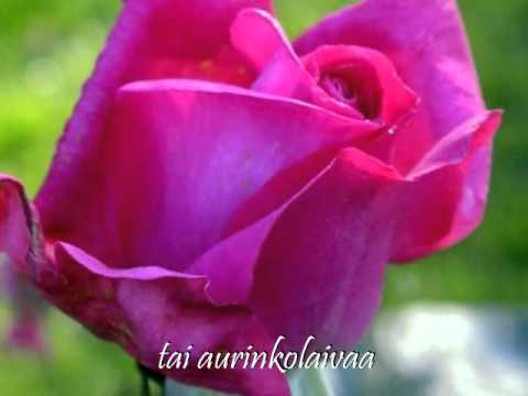 download lagu mp3 mp4 Eija Meril, download lagu Eija Meril gratis, unduh video klip Eija Meril