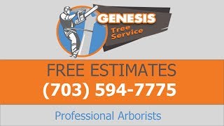 preview picture of video 'Tree Service Gainesville VA - Free Estimates - Genesis Tree Service'