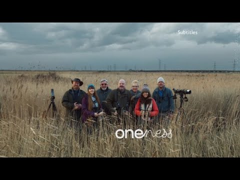 BBC Rebrand | (Check Desc) Last 1997 Gill Sans logo on BBC One continuity - 20th October 2021