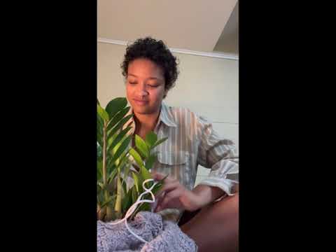 Video thumbnail 5ojz6YQF1I8