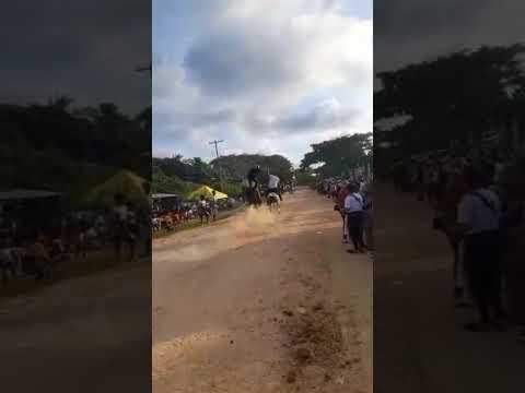 carreras caballo  Eris Hernández Daniel Arias san antero cordoba