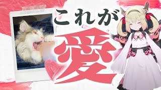 【可愛い】飼い猫と戯れ愛が溢れてしまう息根とめる【切り抜き】