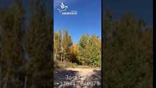 Видео Петарды MEGA PIRATKA (P2000) 5ol6UDWN4F0