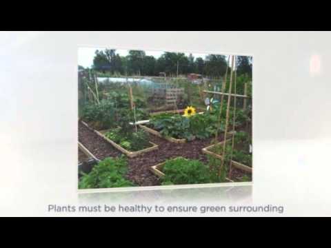 download lagu mp3 mp4 Brown Deco Mulch, download lagu Brown Deco Mulch gratis, unduh video klip Brown Deco Mulch