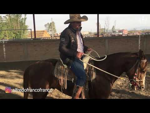 EL CAMINO AL FUTURITY VIP - Capítulo 5 (Parte 2)