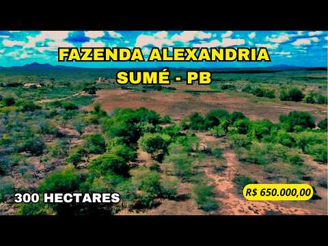 🌾 FAZENDA IMPUEIRAS & ALEXANDRIA – 300 HECTARES COM GRANDE ÁREA DE VÁRZEA NO CARIRI PARAIBANO 🌾