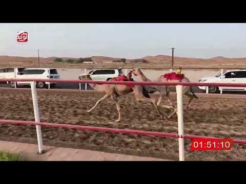  ش 6 (ممدوح) لـ حمد سالم بن ثعلوب الدرعي 3:02:92 ، شارة الصندوق 2026/08/14 فطامين الرقيعات