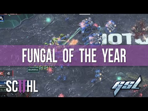 Fungal of the Year - GSL Season 1 2016