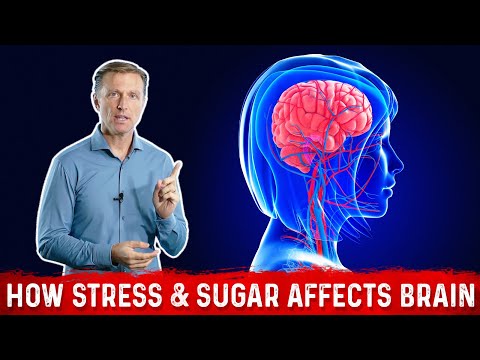 How to Improve Memory Connection between Alzheimer s Insulin – Dr Berg