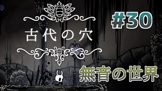 【実況】一匹のムシと滅びゆく王国の物語＃３０【Hollow Knight】