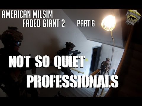 American Milsim Faded Giant 2 Part 6: Not So Quiet Professionals