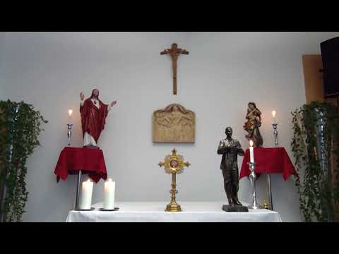 Krunica i litanije 08.04.2020