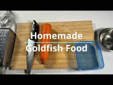 YouTube video about: What can you feed a fish other than fish food?