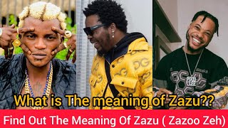 What is the meaning of Zazu (Zazoo Zeh)